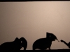 elephantocameleonw