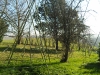 SAMSUNG DIGITAL CAMERA