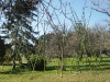 SAMSUNG DIGITAL CAMERA