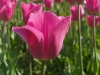 SAMSUNG DIGITAL CAMERA