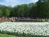 SAMSUNG DIGITAL CAMERA