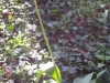 SAMSUNG DIGITAL CAMERA
