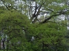 SAMSUNG DIGITAL CAMERA