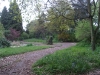 SAMSUNG DIGITAL CAMERA