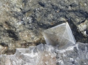 Cristal de Sel et Fleur sur bord
