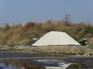 Mullon (Tas de Gros Sel)sur Trémet 