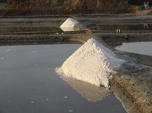 Lévée de Gros Sel sur Ladure