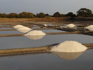 Soir sur Saline vue Est