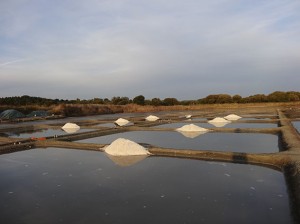 Soir sur Saline vue N.Est