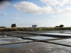 Mise en eau de l'Oeillet